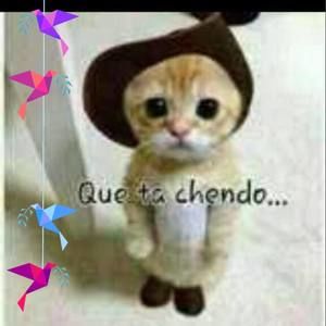 Meet your Posher, Martinez